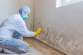 Mold Remediation for Rental Properties in Green Meadows, OH