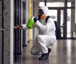 Best Biohazard Mold Removal  in Green Meadows, OH